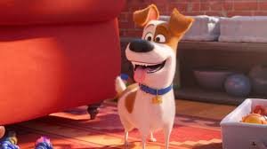 Filme Pets: A Vida Secreta dos Bichos