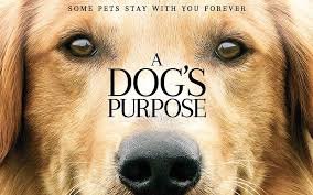 Filme quatro vidas de um cachorro