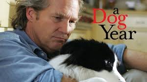 Filme um ano de cão