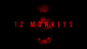 10 Séries de Viagem no Tempo Para Quem Quer Se Perder no Paradoxo 3 12-Monkeys