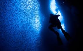 10 Séries sobre Cientistas que Todo Fã de Ciência Precisa Assistir 9 Mission-Blue