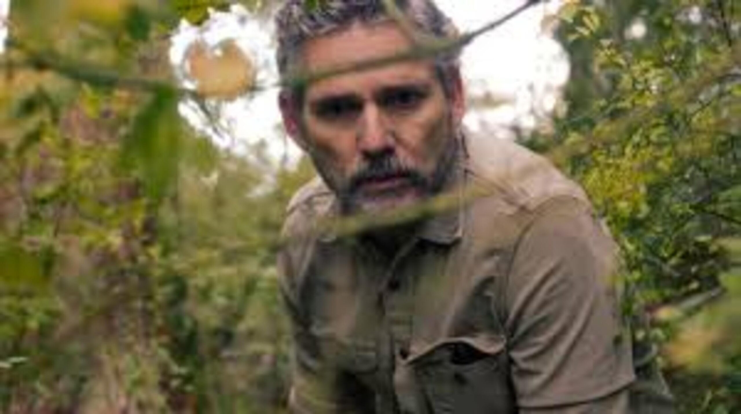 Muito Além da Intriga: As 10 Séries de Mistério Que Vão Prender Sua Atenção do Início ao Fim 8 mistério