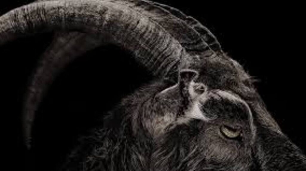 A Morte do Cinema? 10 Filmes Que Só Fizeram Sentido no Streaming 6 A-Bruxa