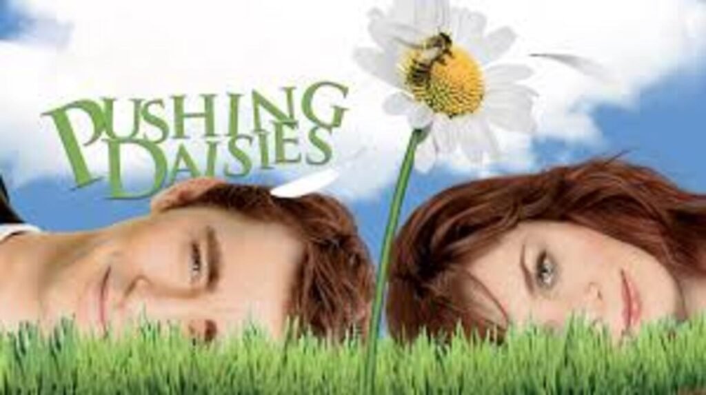 Pushing-Daisies