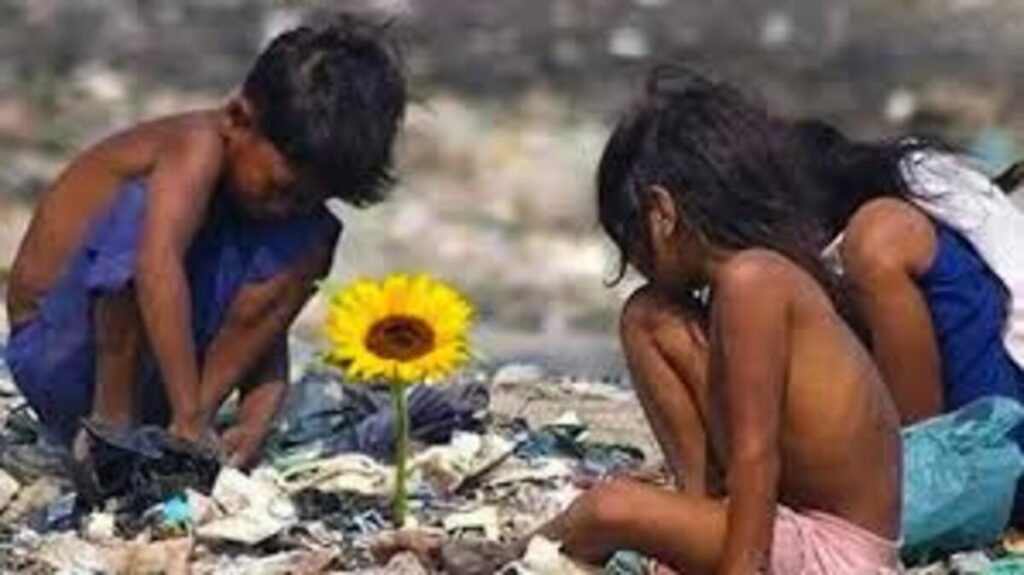 Ilha-das-Flores