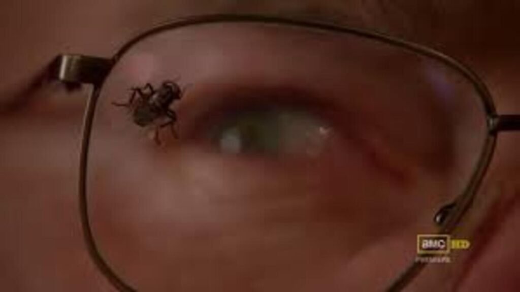 Os 10 Melhores Bottle Episodes da TV: Quando Menos é Mais nas Séries (Guia 2026) 3 Breaking Bad – “Fly”